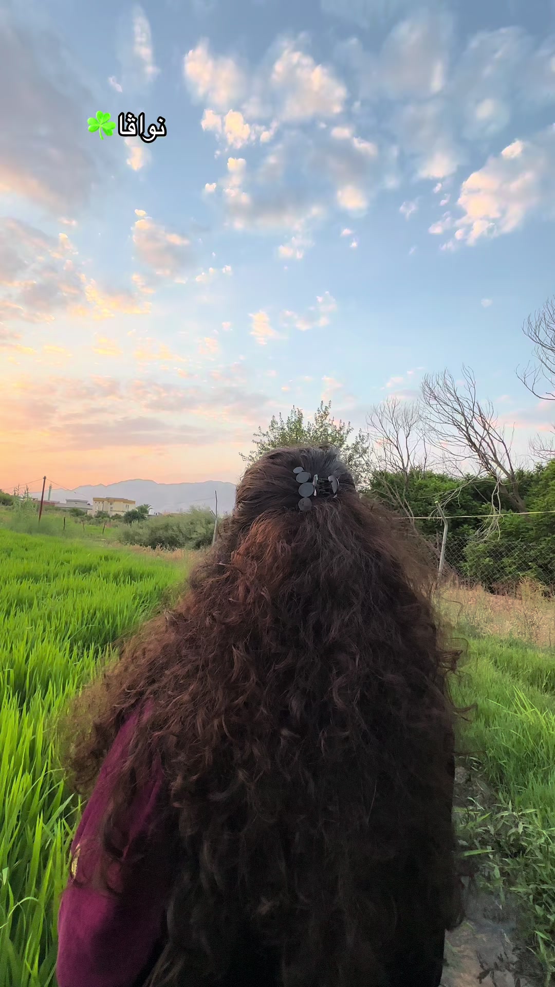 @﮼دلال🦋السورچي