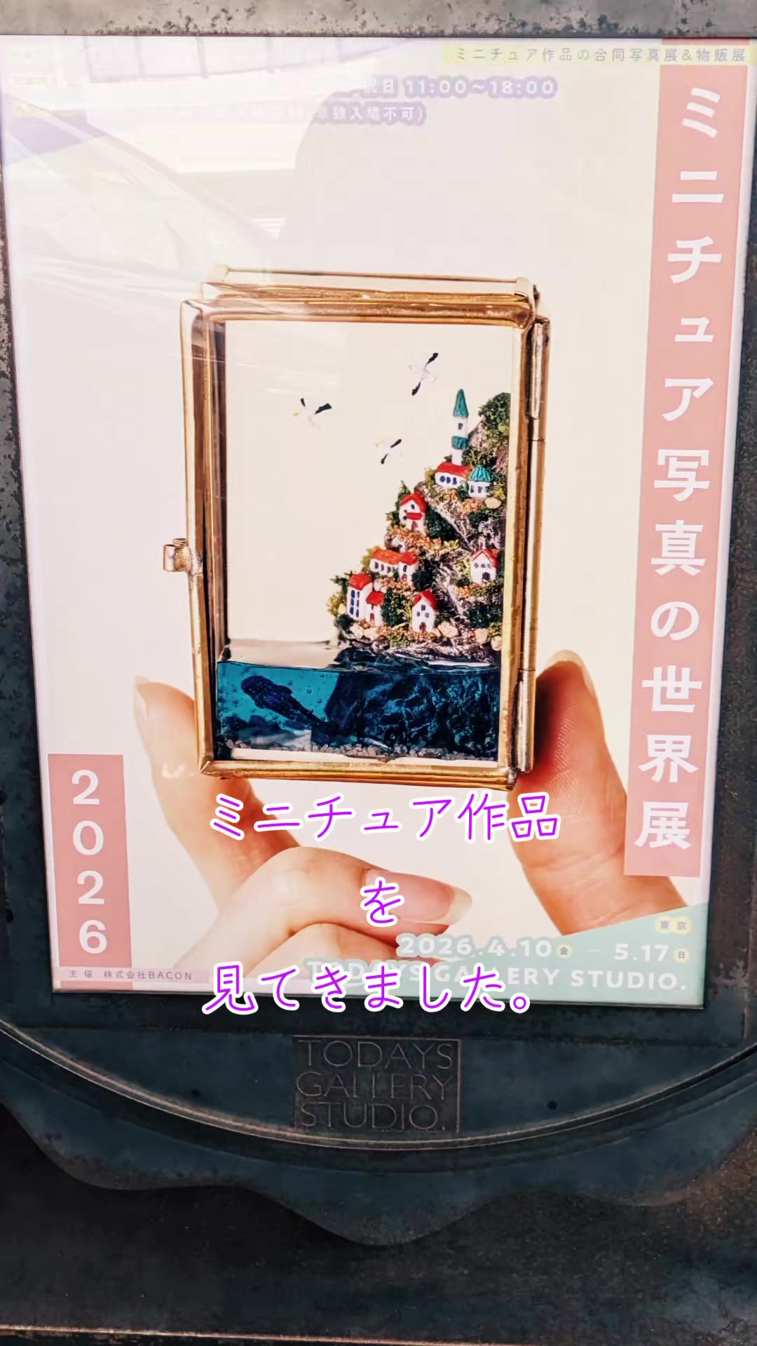 @葛飾めあり