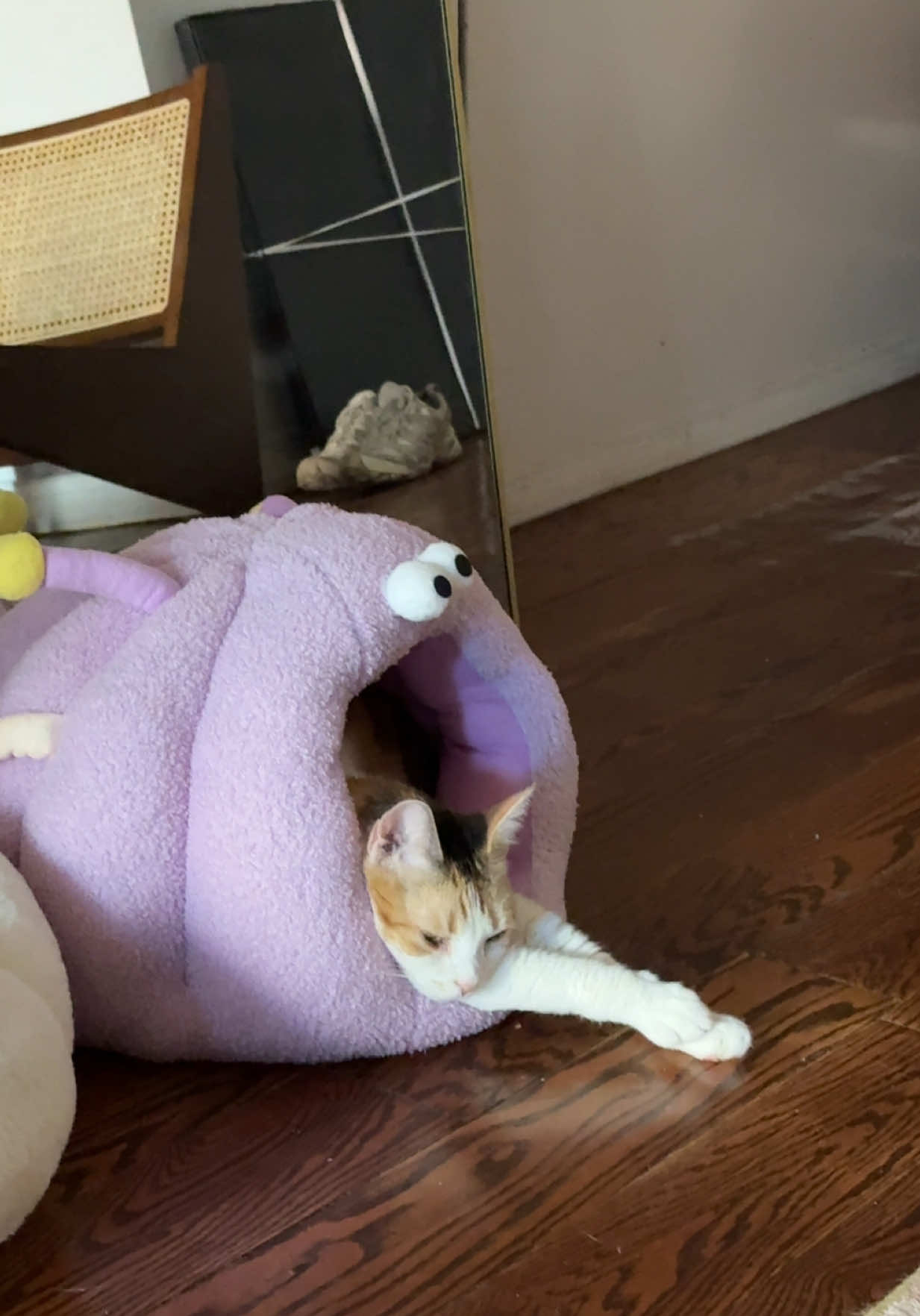 @Mona