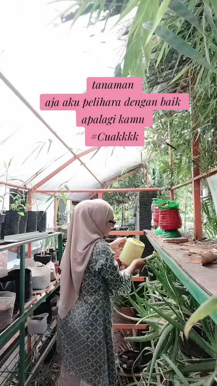 @@bumisenja