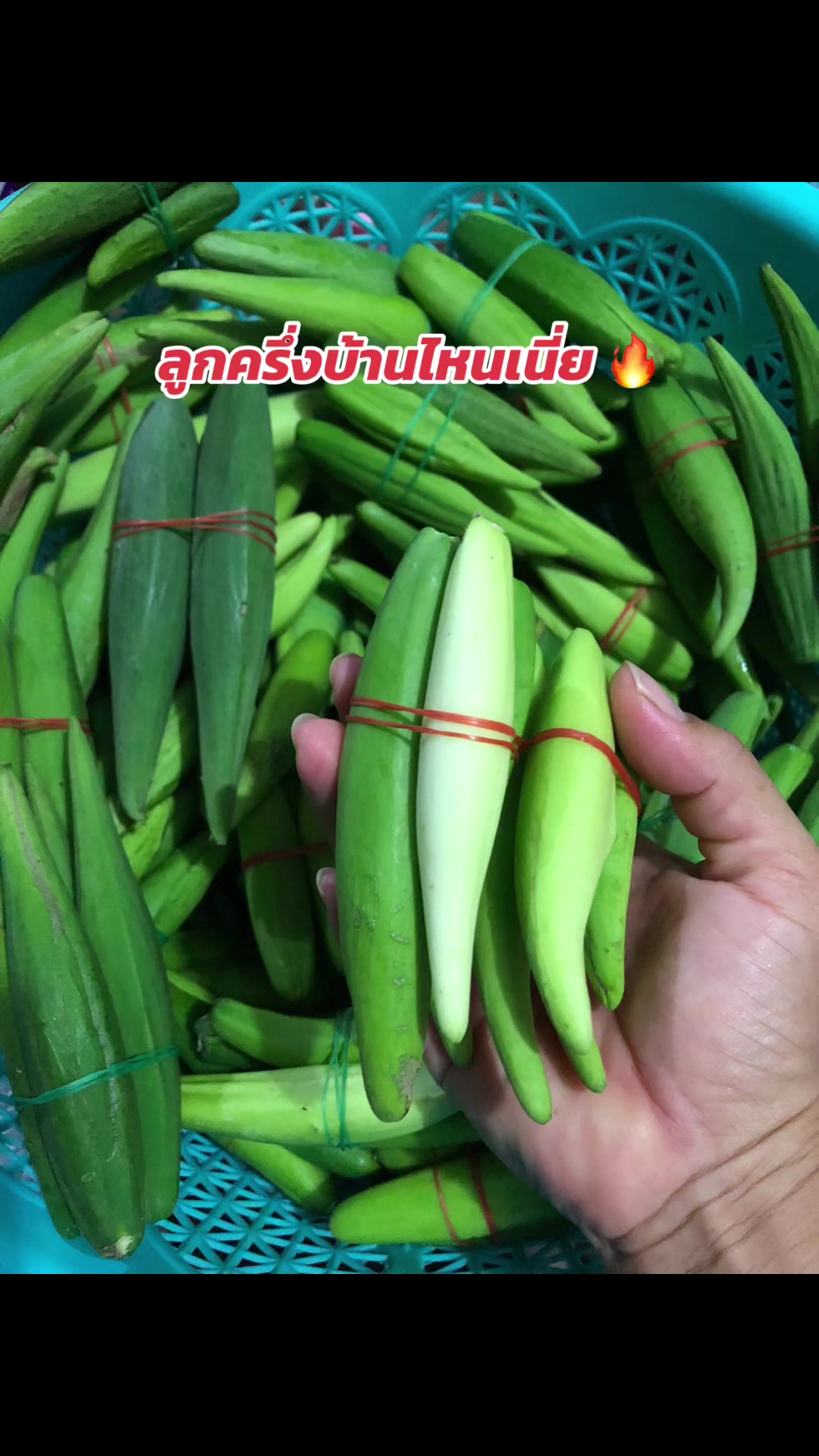 @🌿เจ๊ต่าย ขายผักป่าผักบ้าน🌿