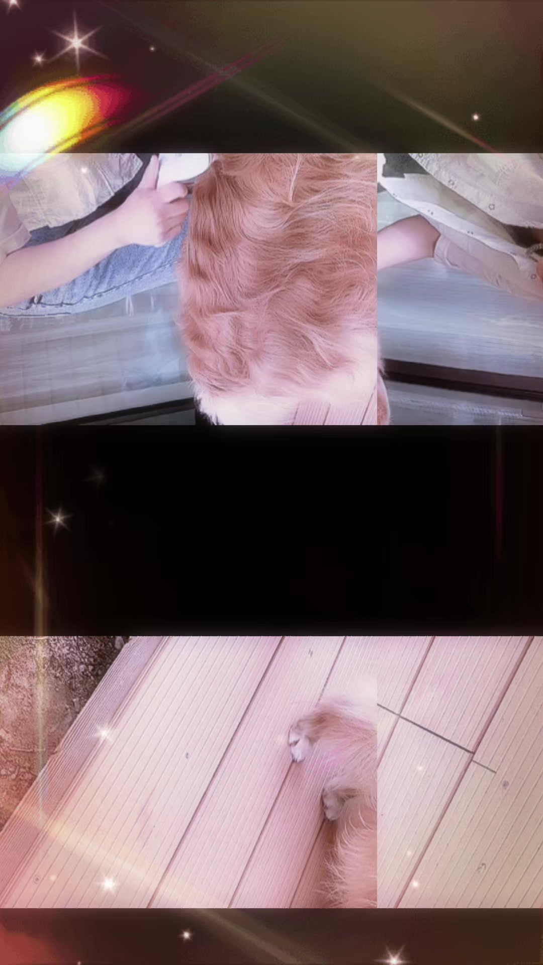 @ACIKA🇯🇵🇲🇨MOMO🍑🐶