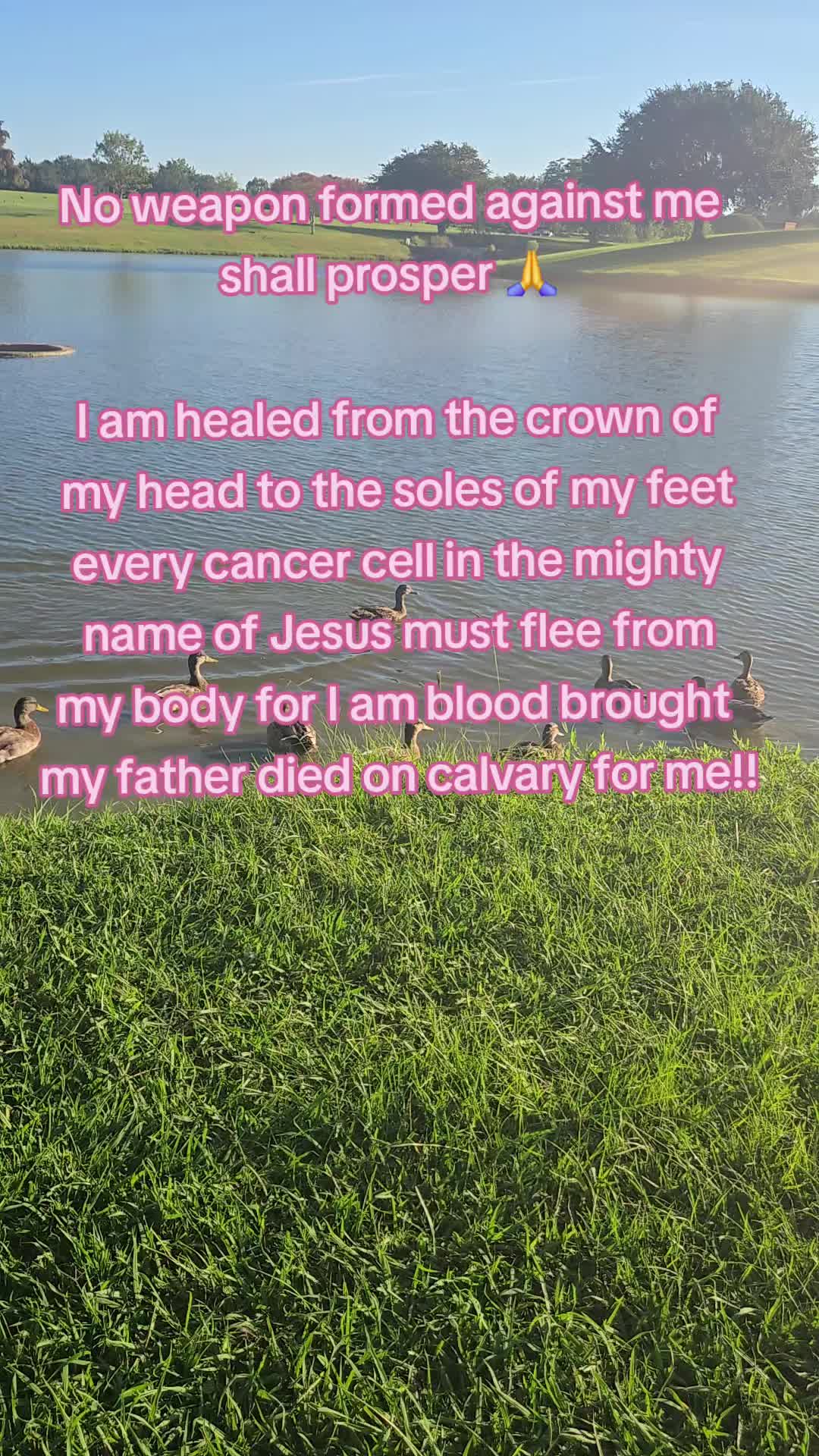 @Queen