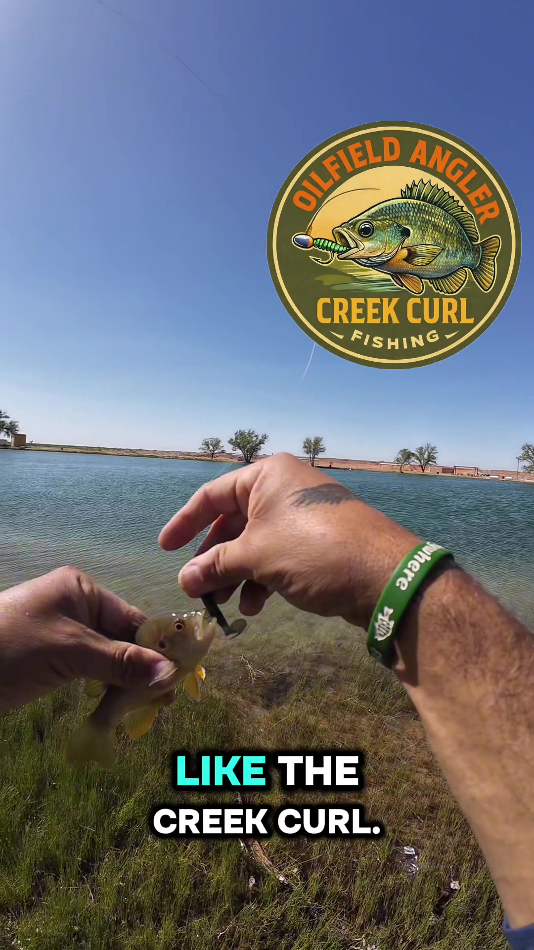 @Oilfield Angler Fishing