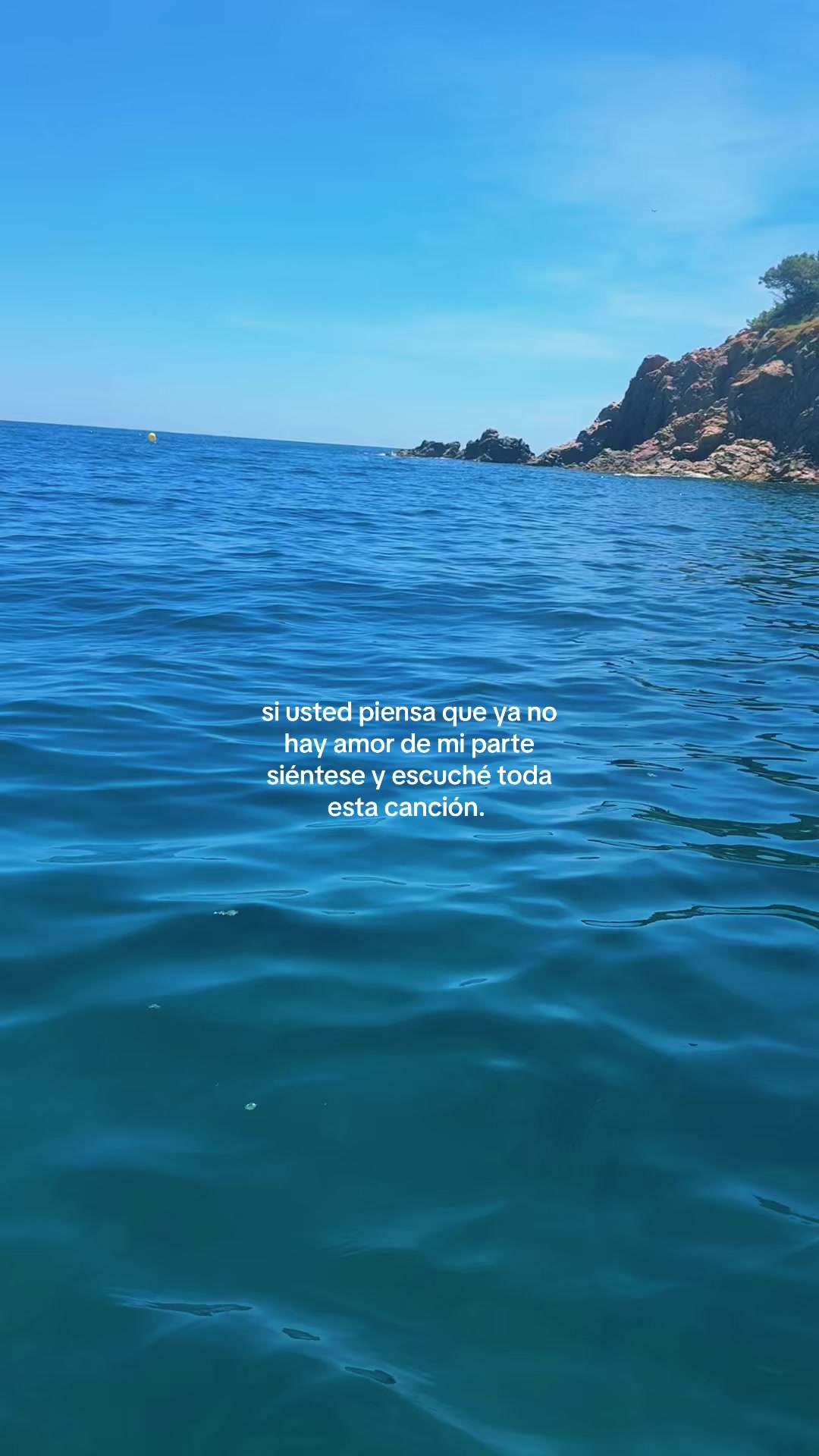 @ozzy 🦈