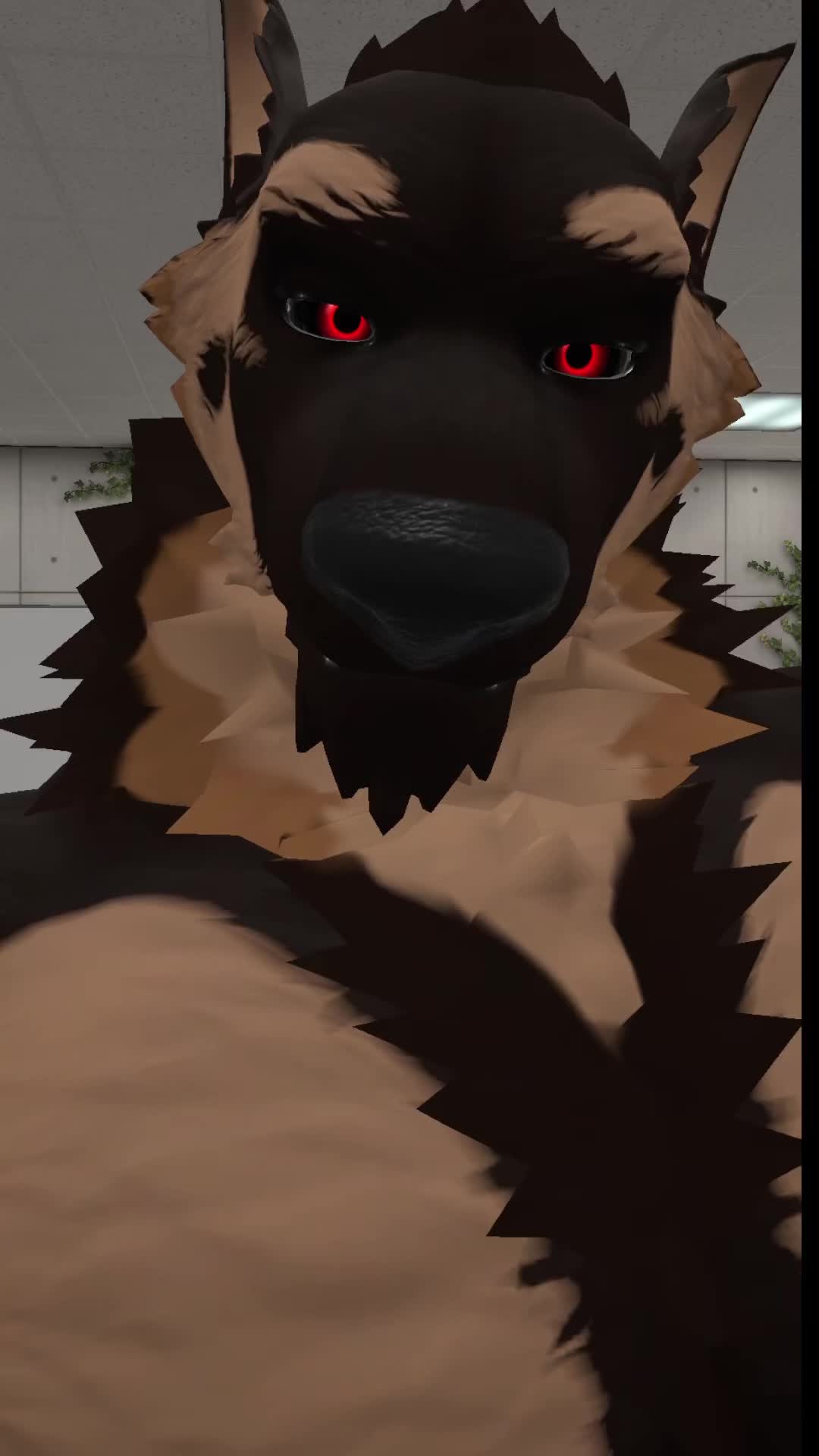 @DraftStallion