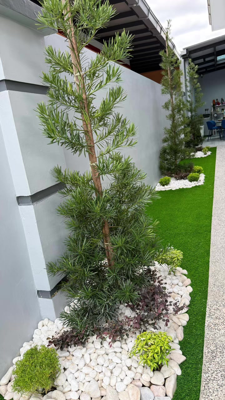 @MZ Landskap Nurseri Benut