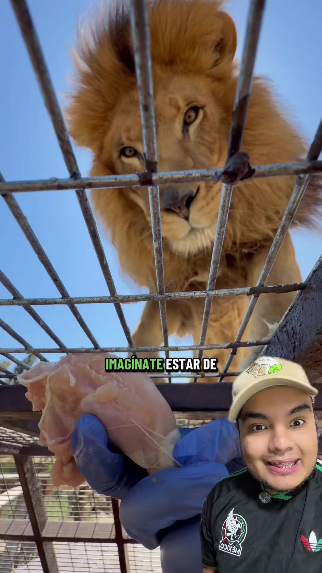 @Jair Herrera 🐆