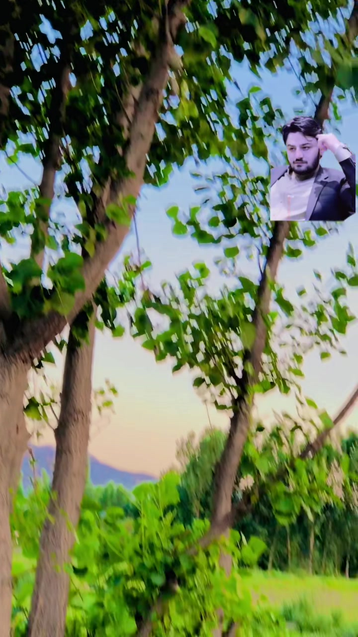 @* 🦅 S&acirc;&Icirc;d  &Aring;&ntilde;W&acirc;ر 🦅*