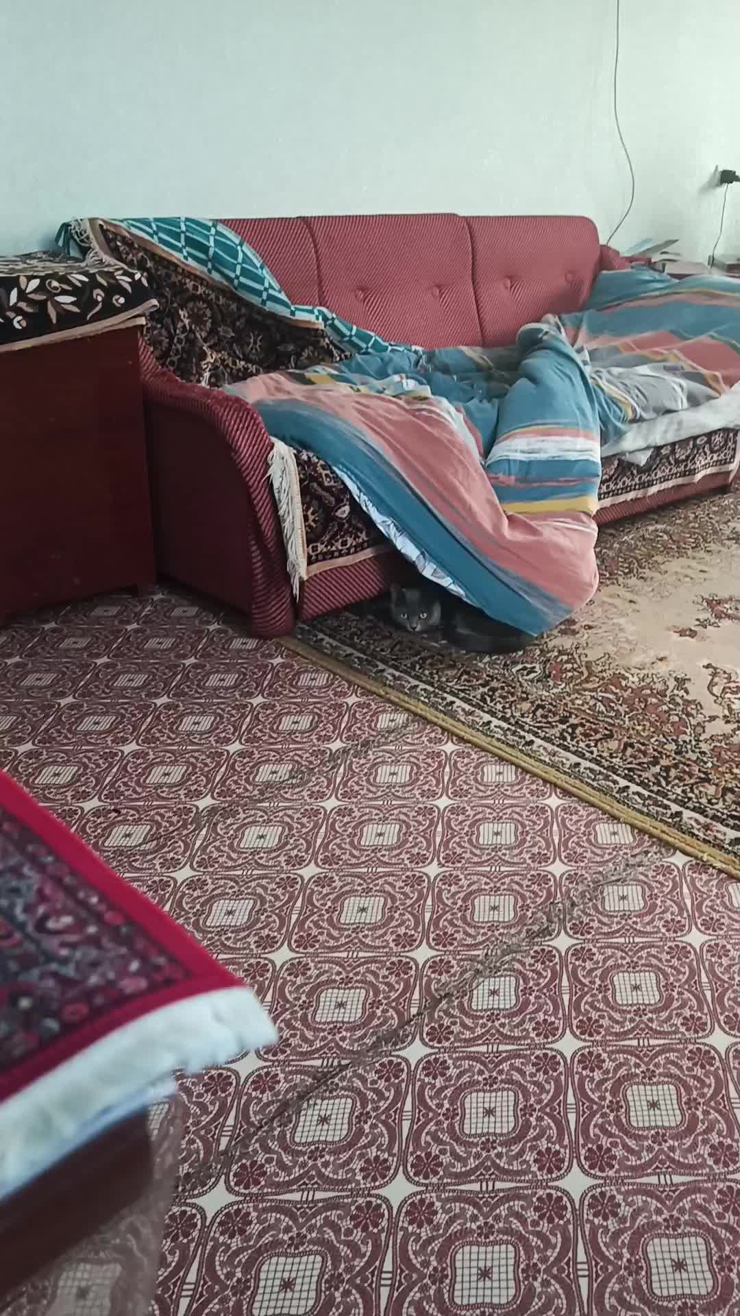 @ЖеНёК