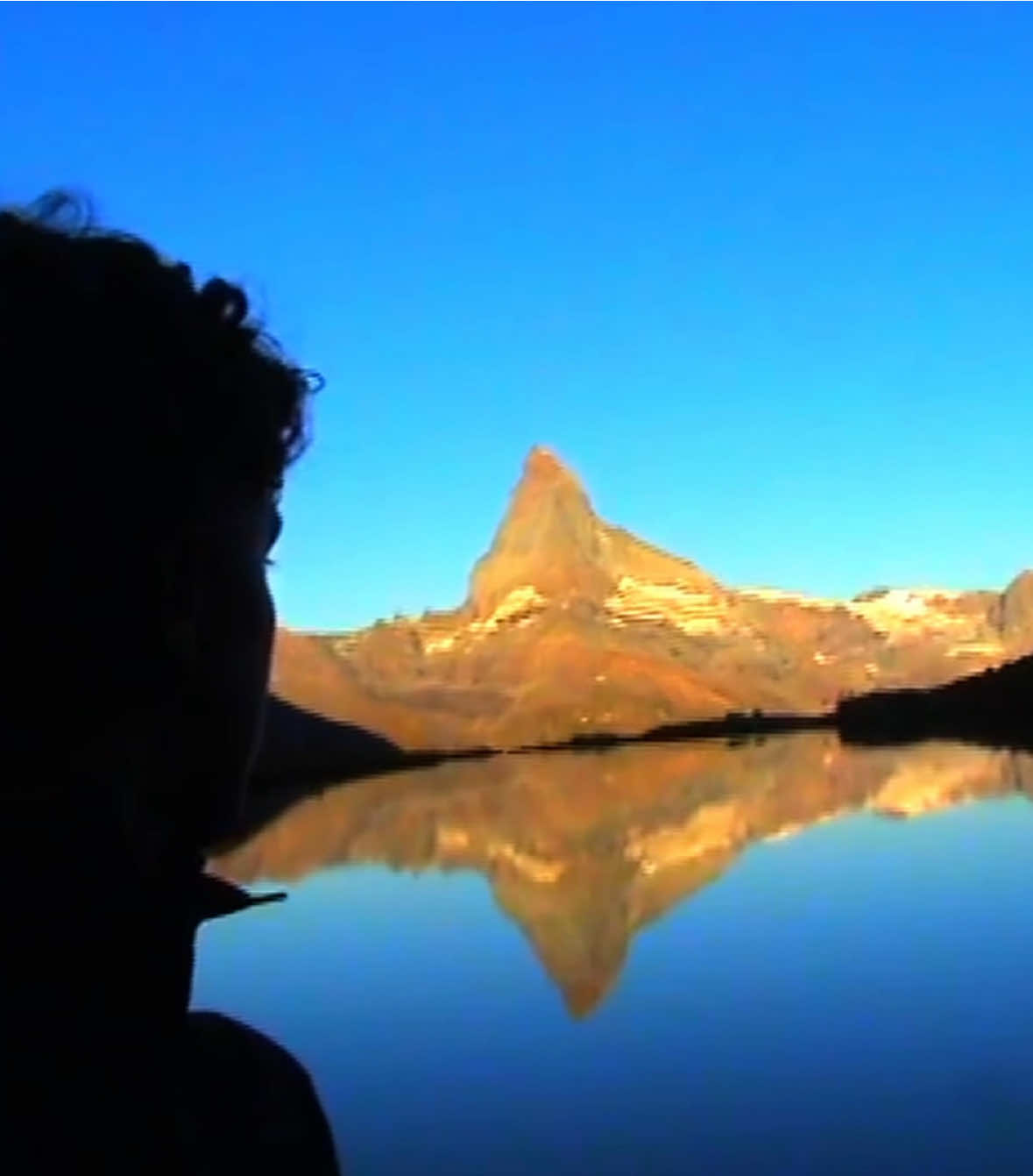 @Fiakosaure 🗻📹