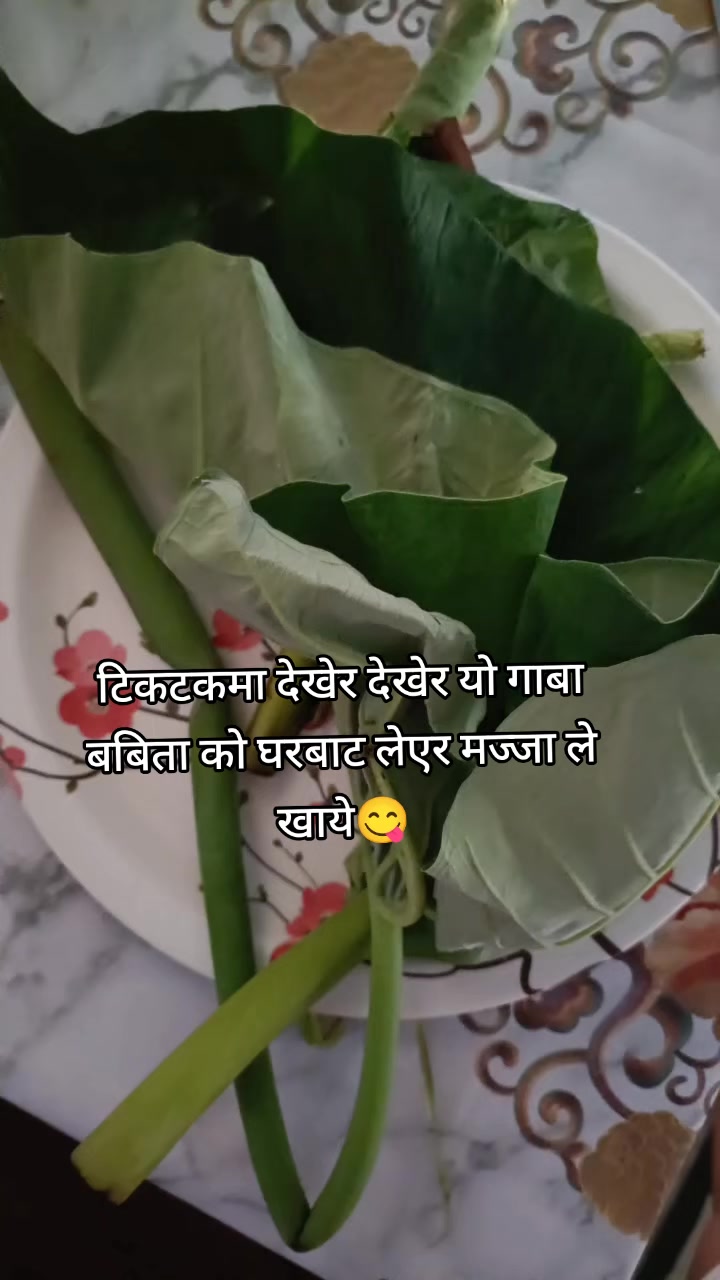 @𝐊𝐀𝐈𝐑𝐀 कायरा