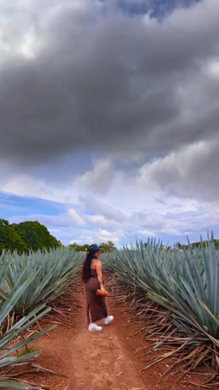 @Desyk