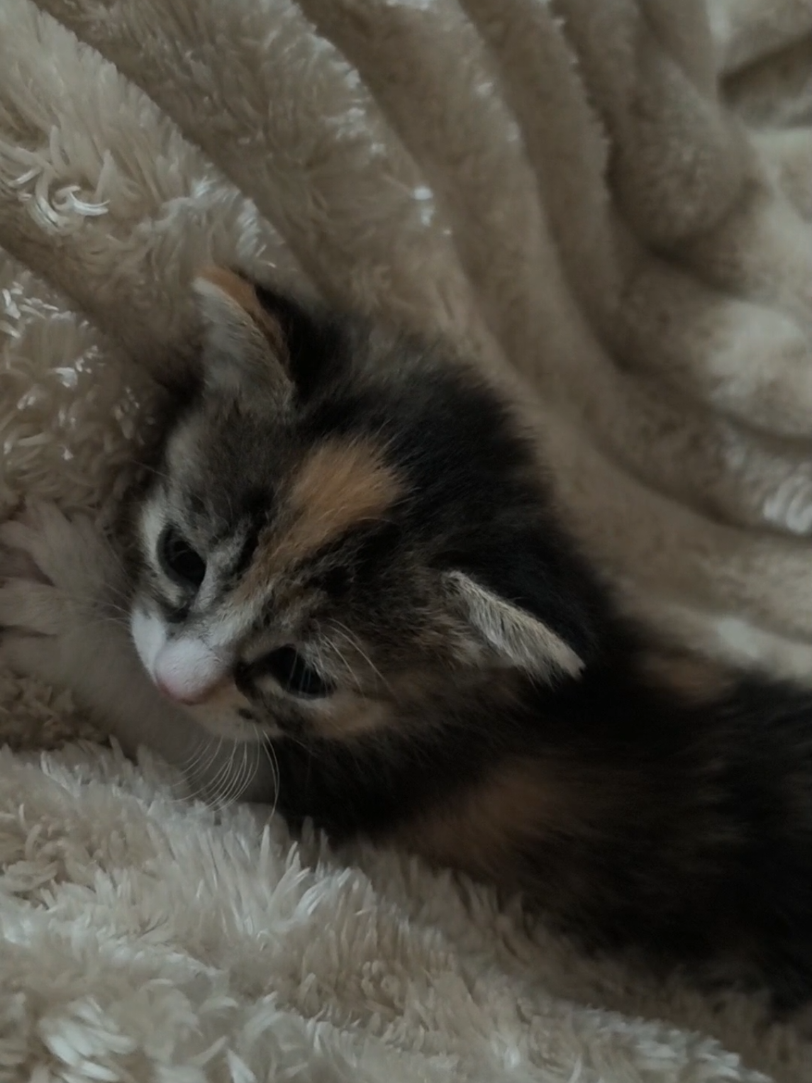 @Gi Azul Baes