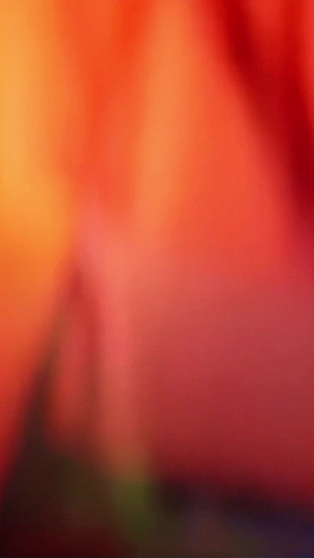 @𝕾.𝕸.𝕽𝖆𝖏𝖆..🎶