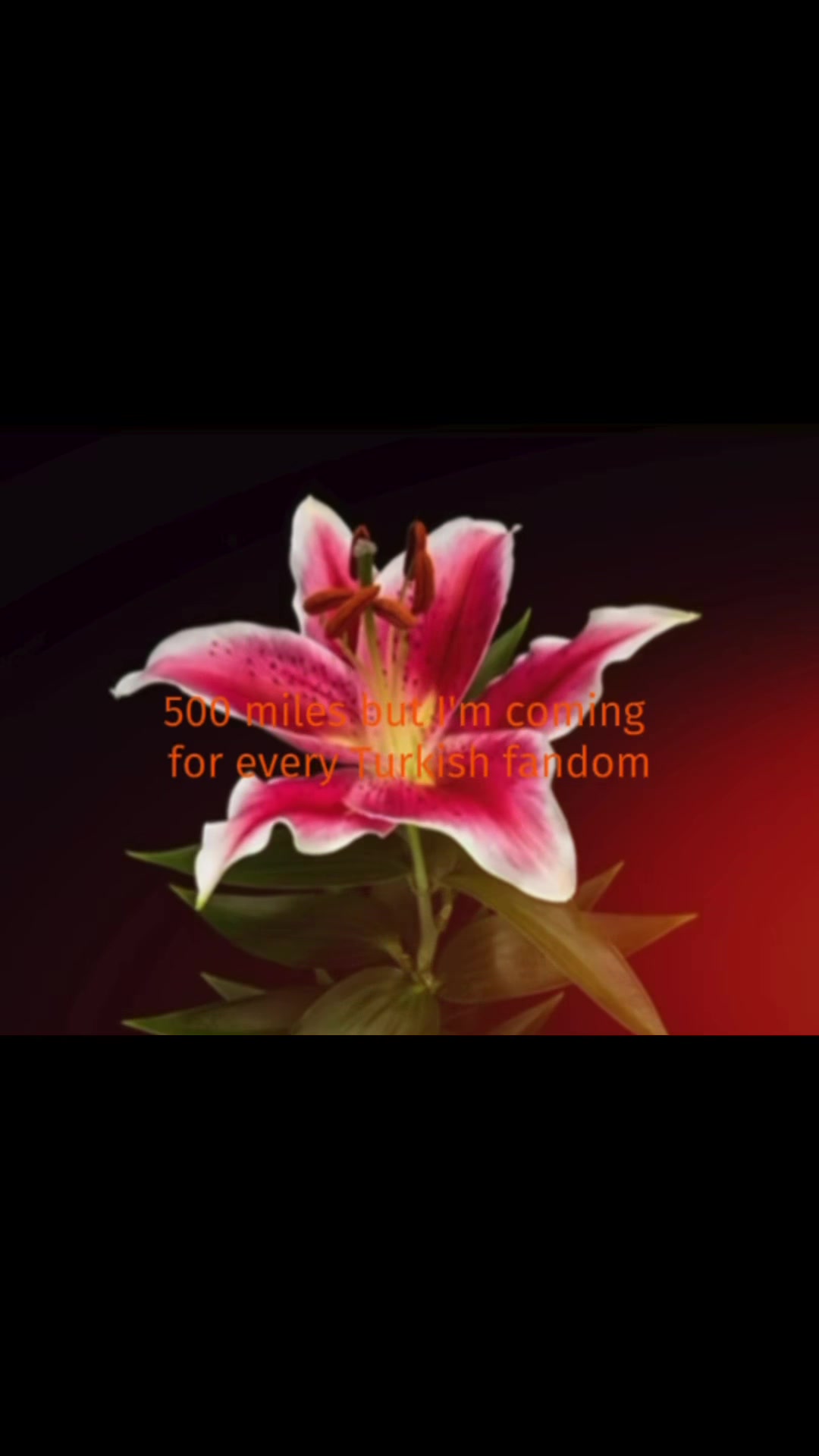 @turk_fan_edit