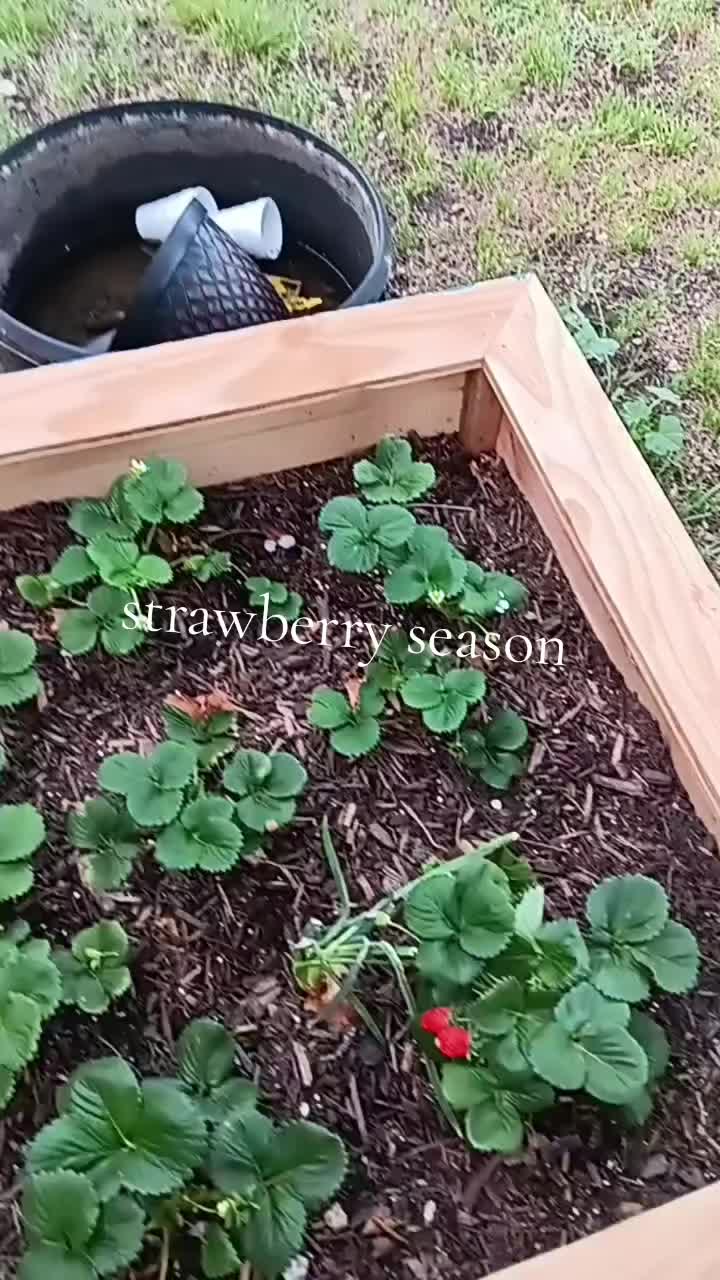 @bigblinksperralinks13