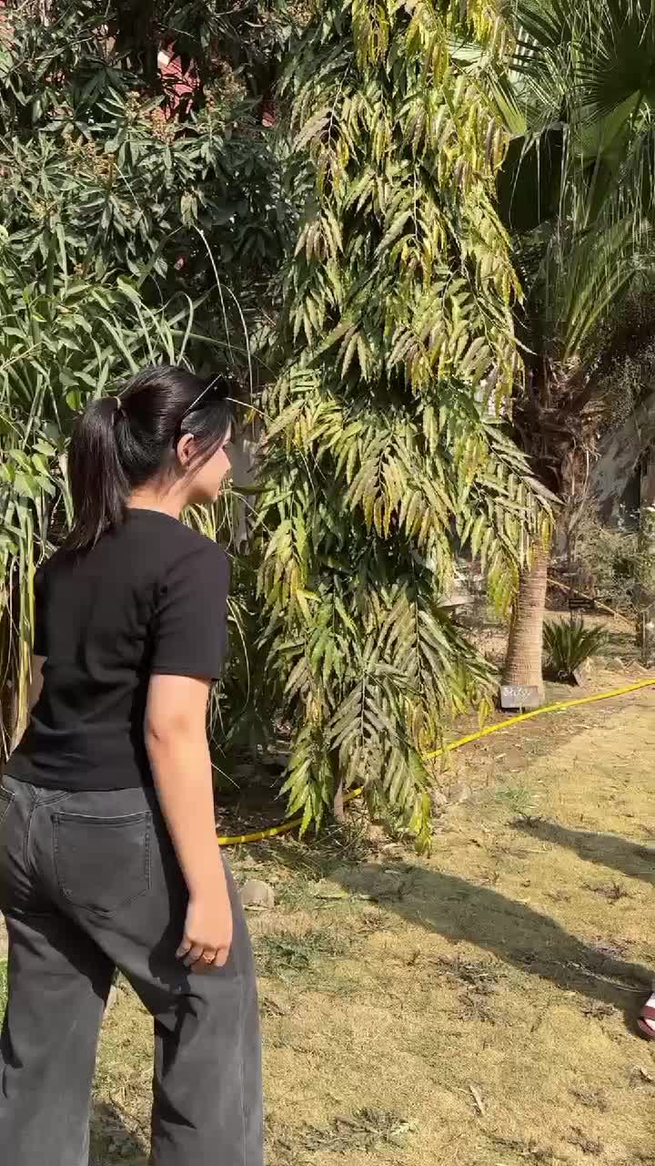 @solforgpk