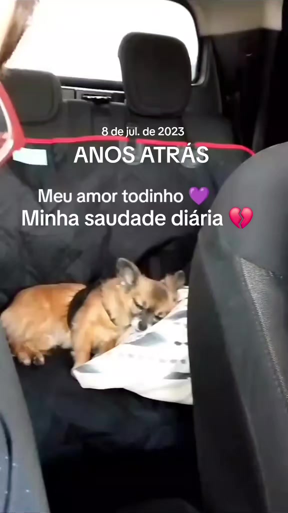 @✨️Mah Proensa✨️