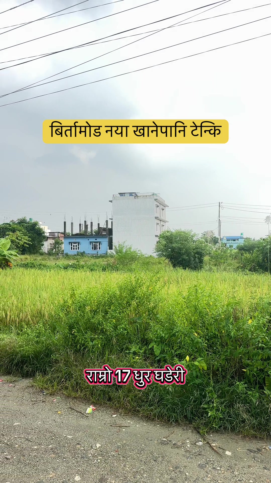 @Maikal ghar jagga