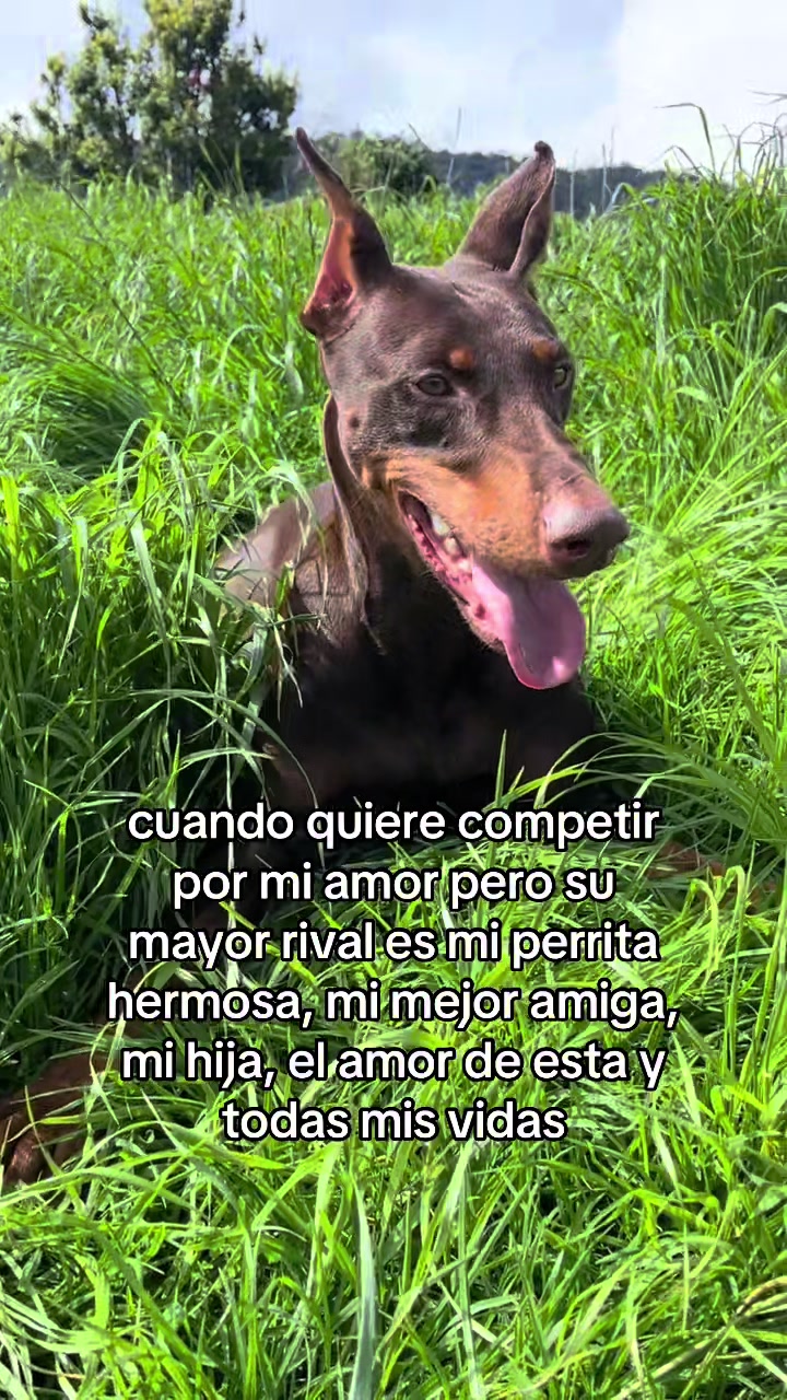 @Daniela Rico 🤪