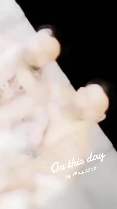 @maliksabir 867