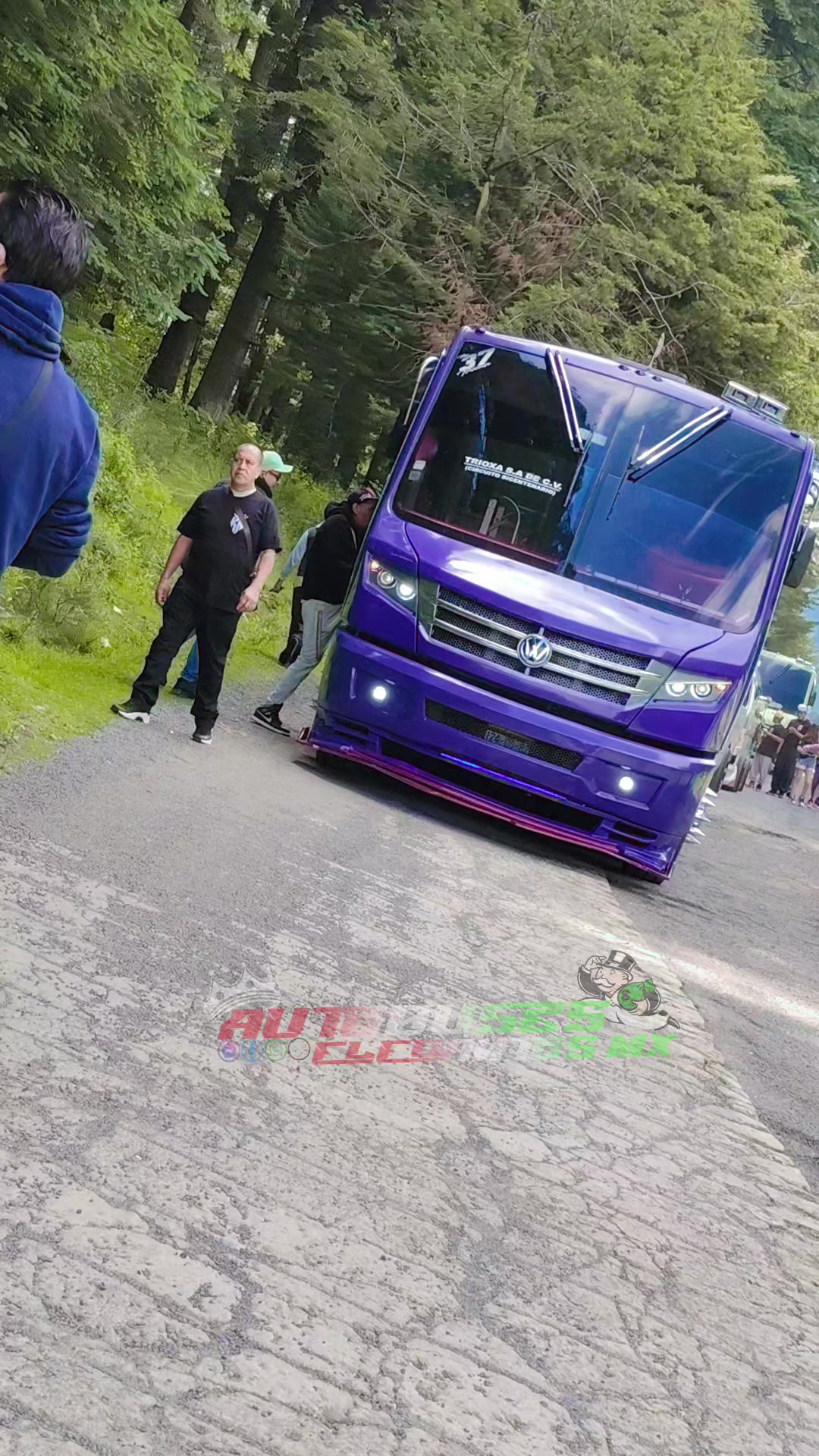 @Autobuses Elegantes Mx