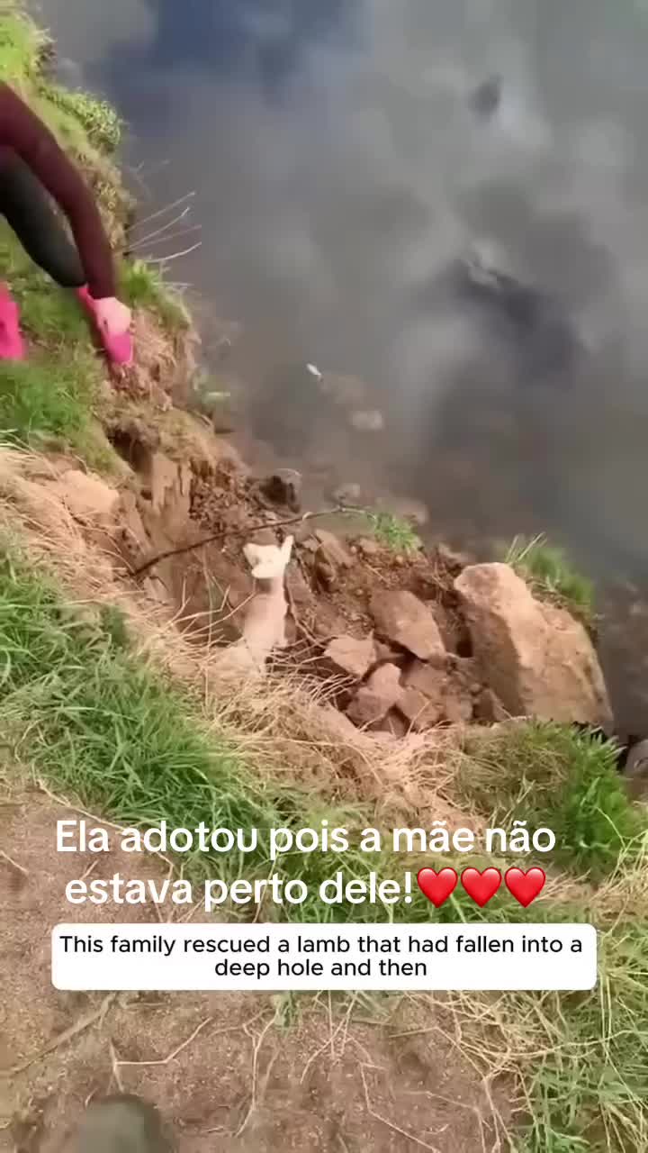 @Cidaneves. ❤???❤❤