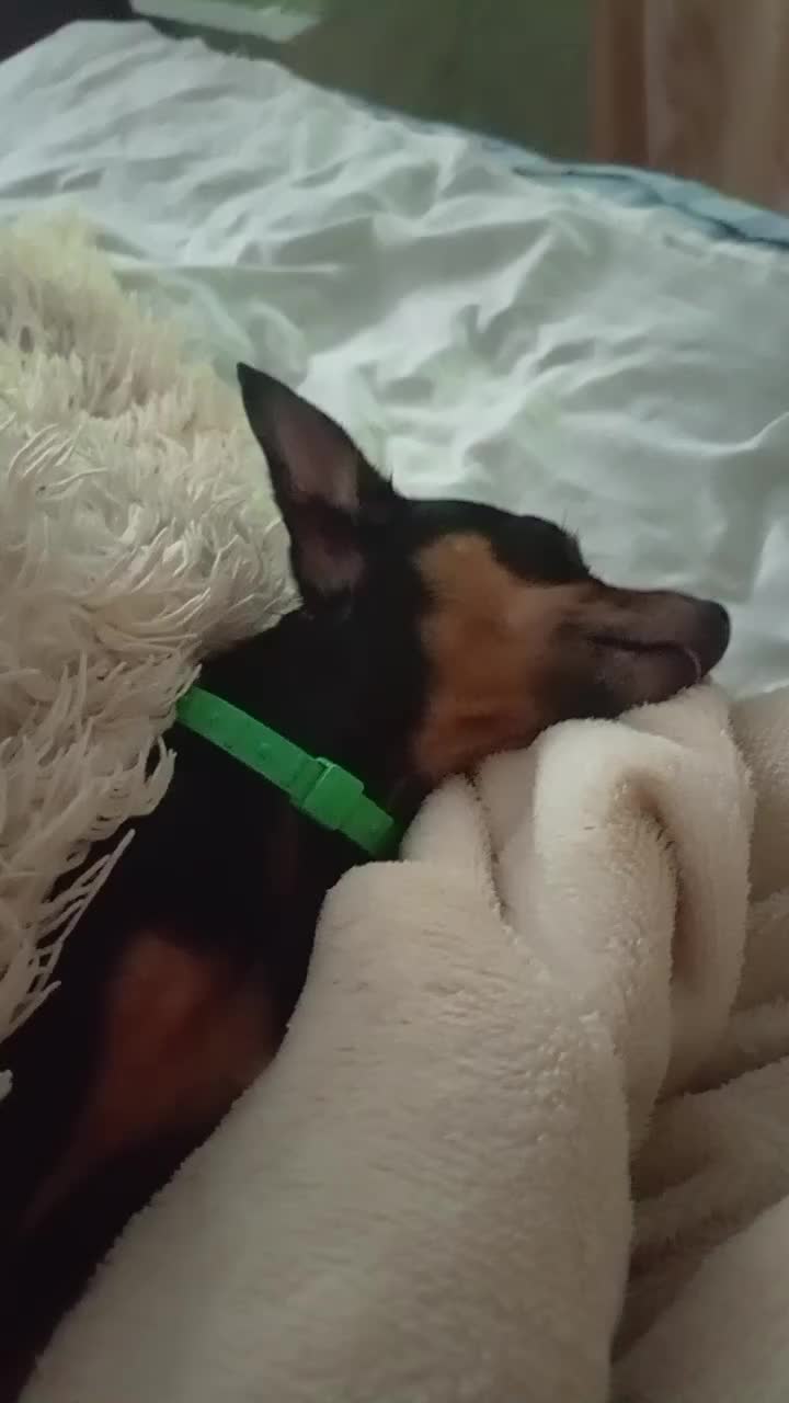 @19Юрик61