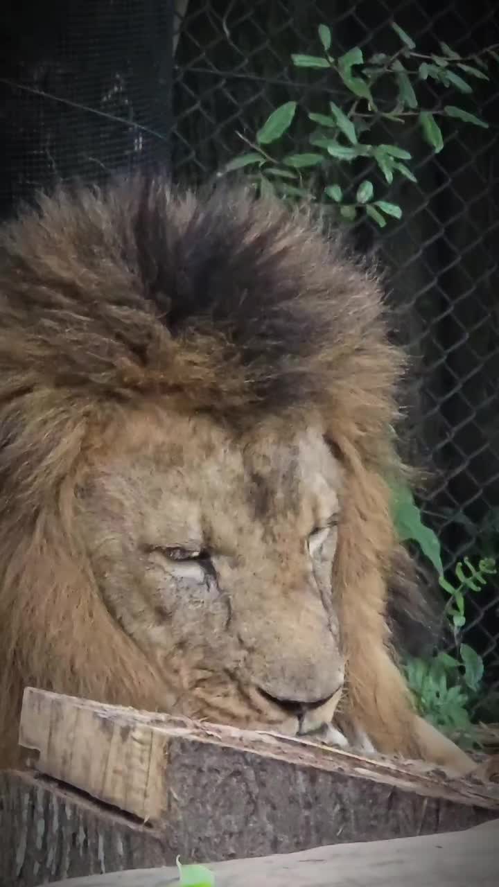 @🦅ZA_KO🦅