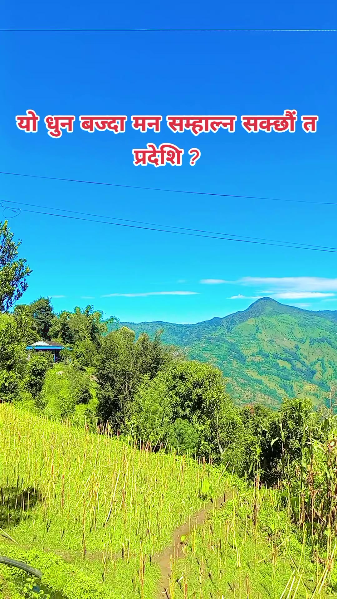 @अर्जुन बिष्ट