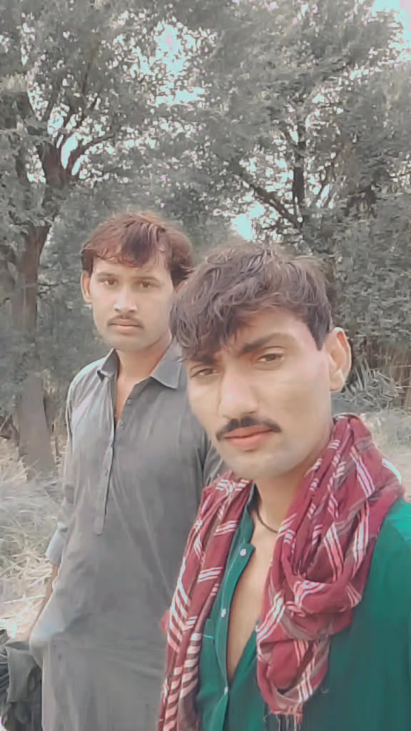 @majno