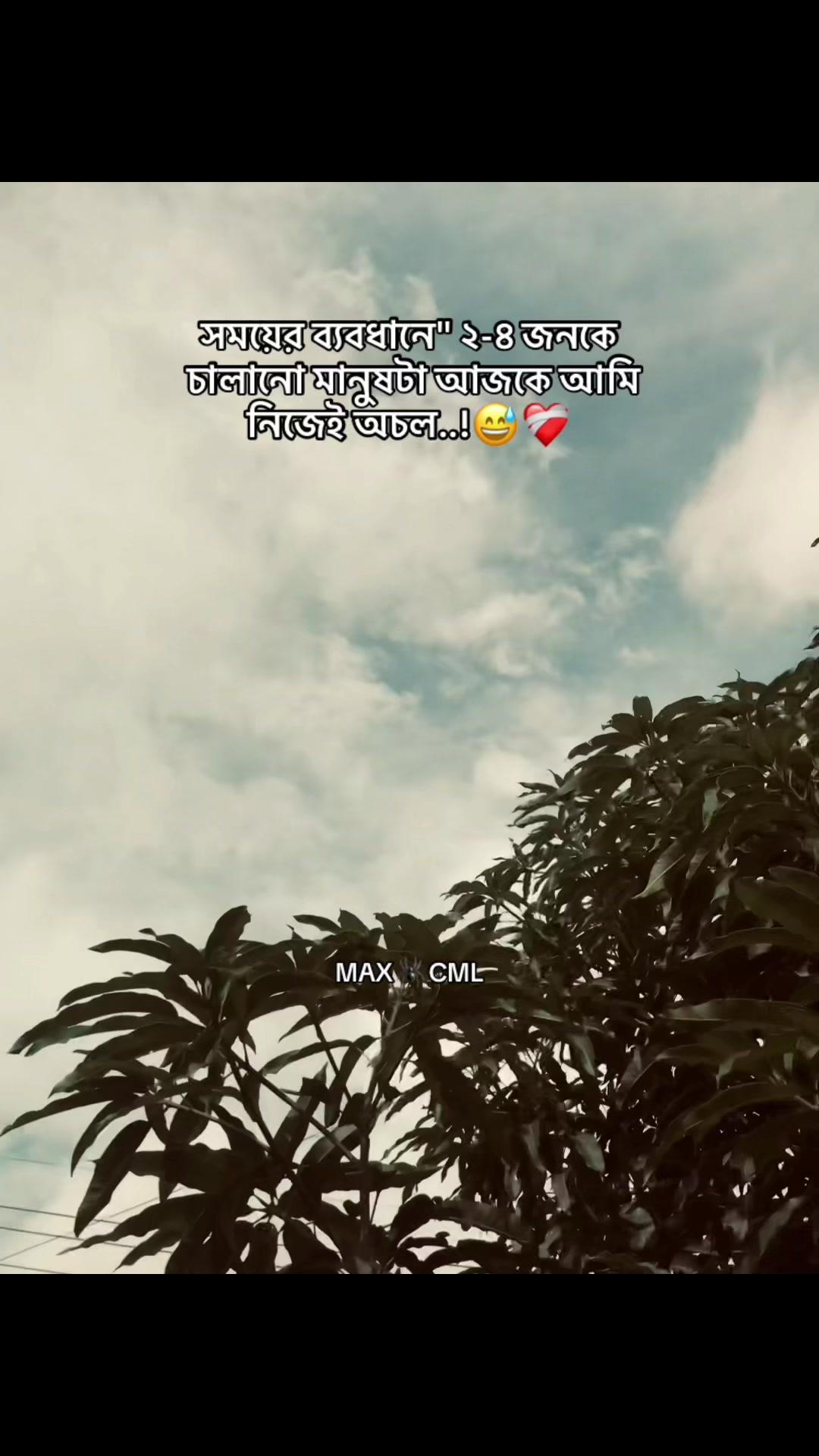 @MAX 🕷️ CML
