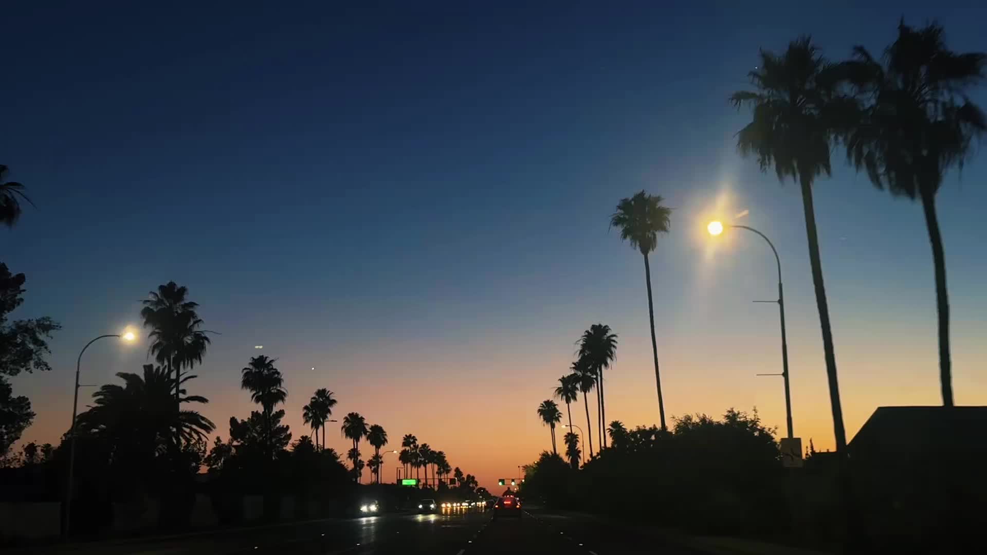 @𓆩♡𓆪