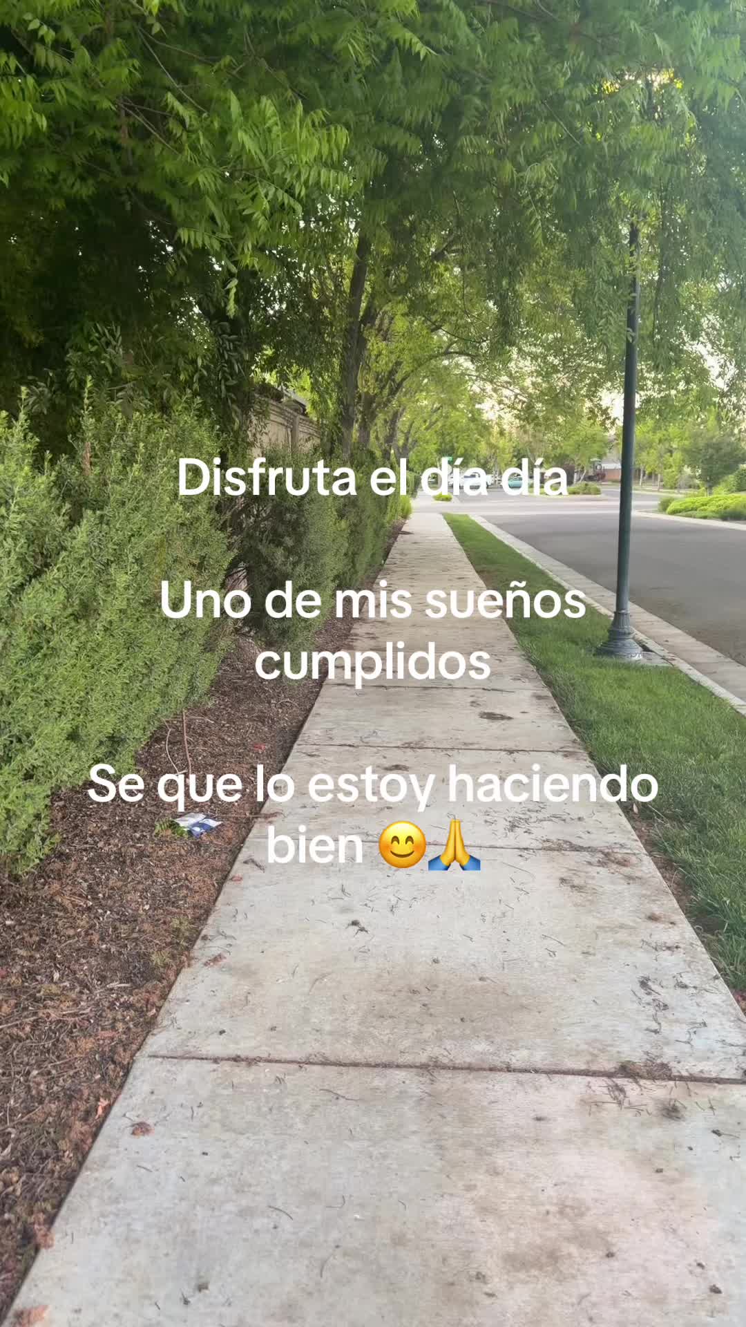 @Lupita Serrano 🌹
