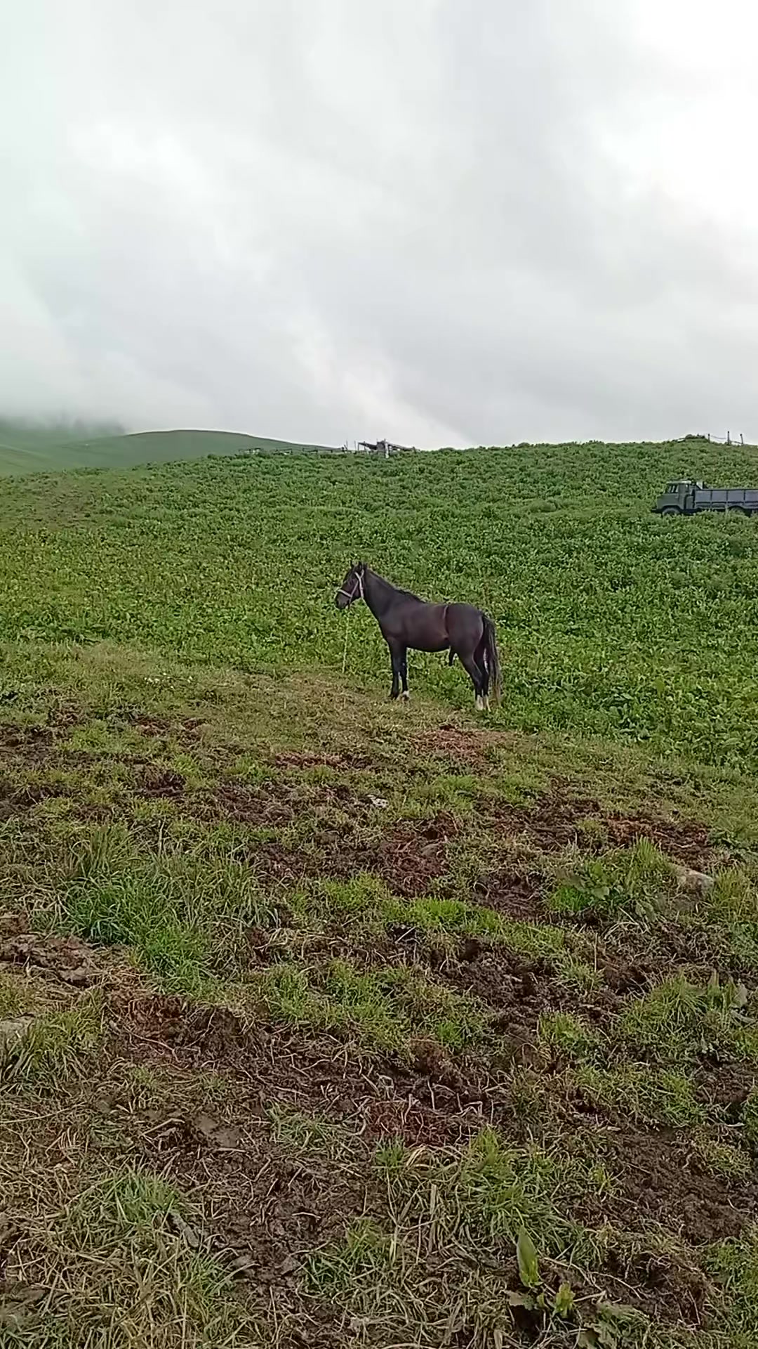 @Վաչե Գևորգյան