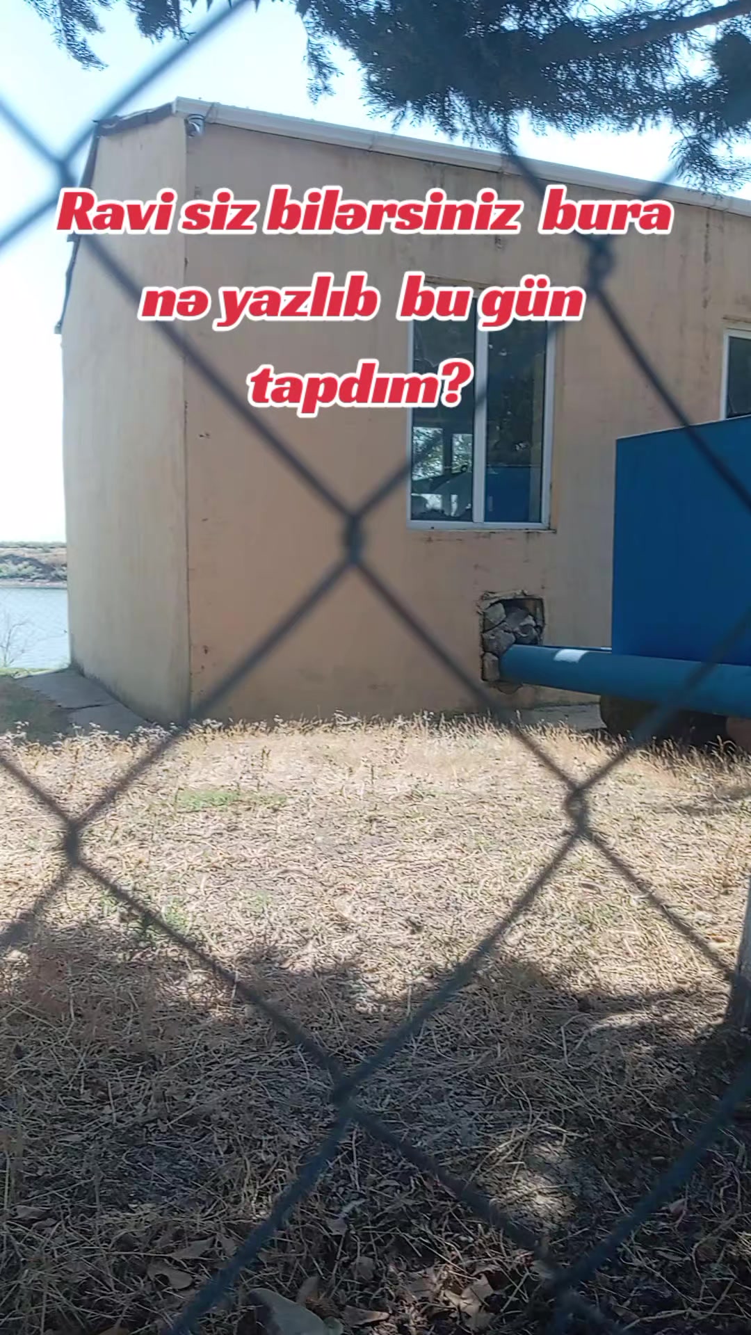 @Traktor_Aləmi