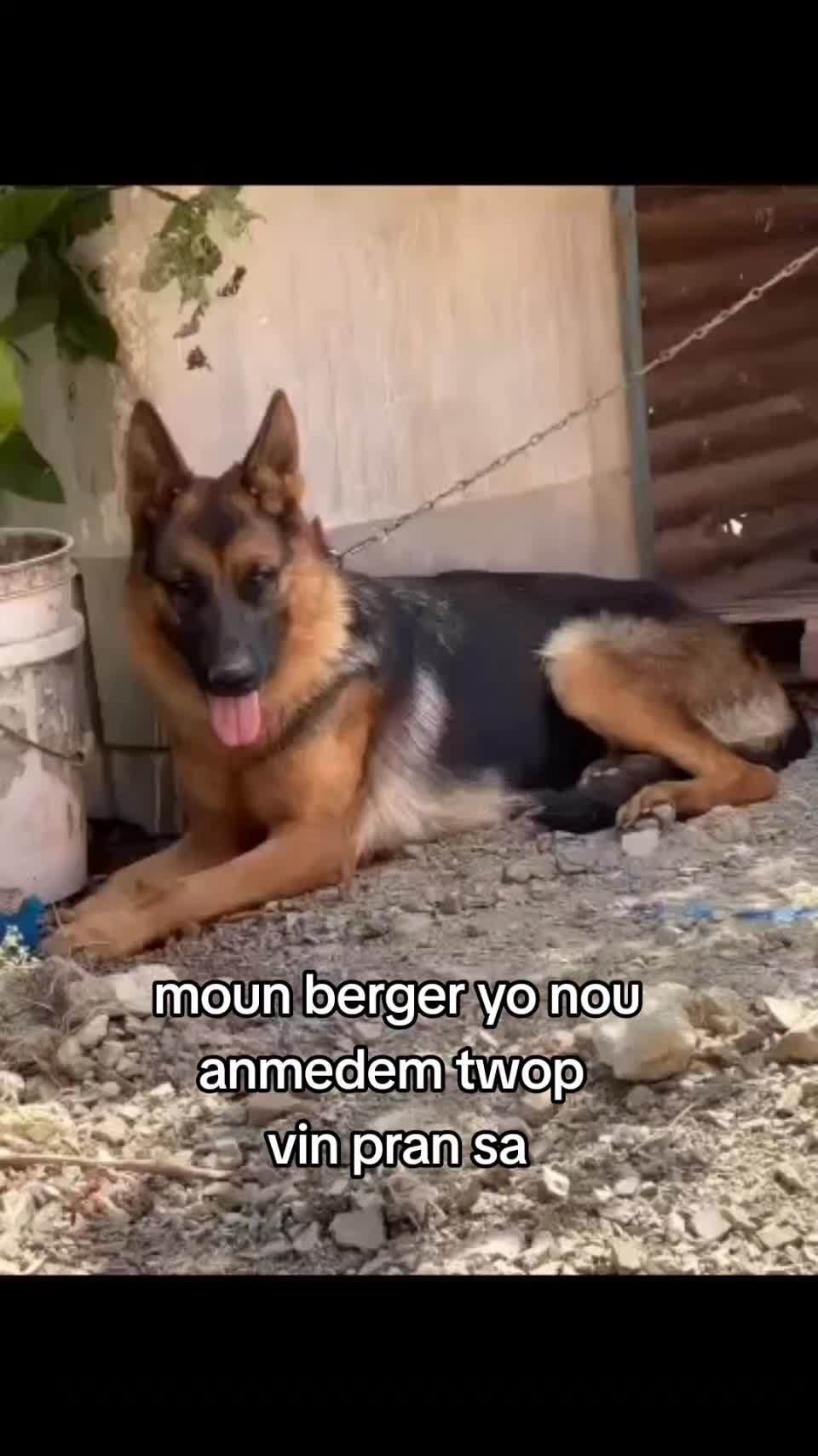 @Bendog