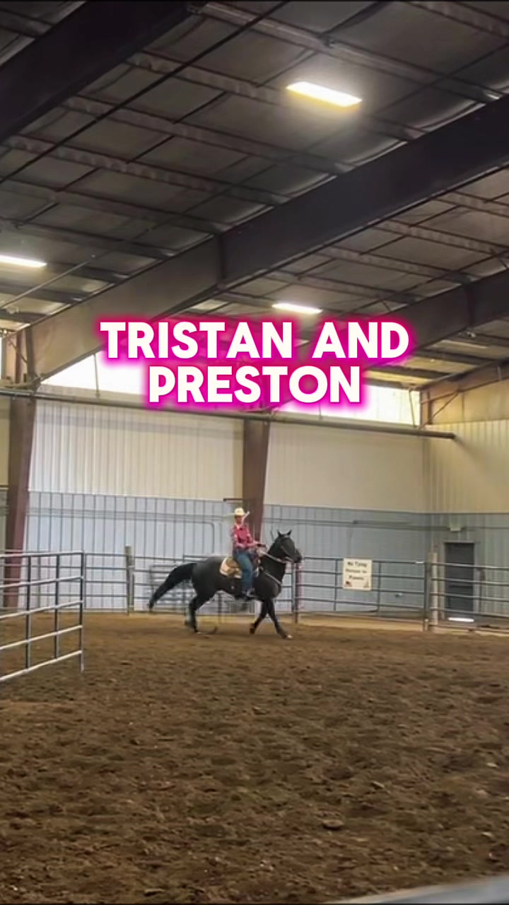 @Supercharge Performance Horses