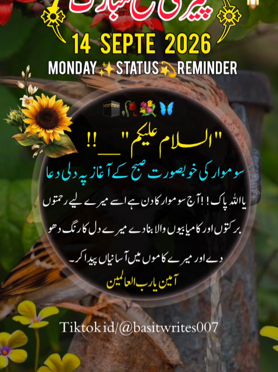@basitwrites007