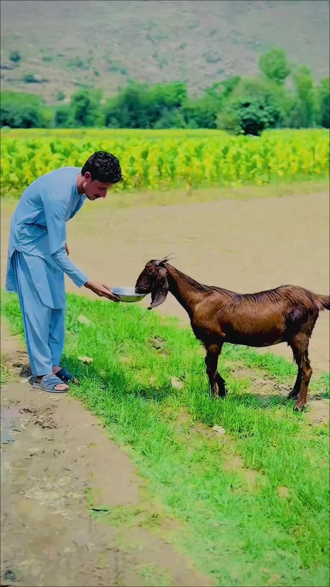 @Yasir khanii