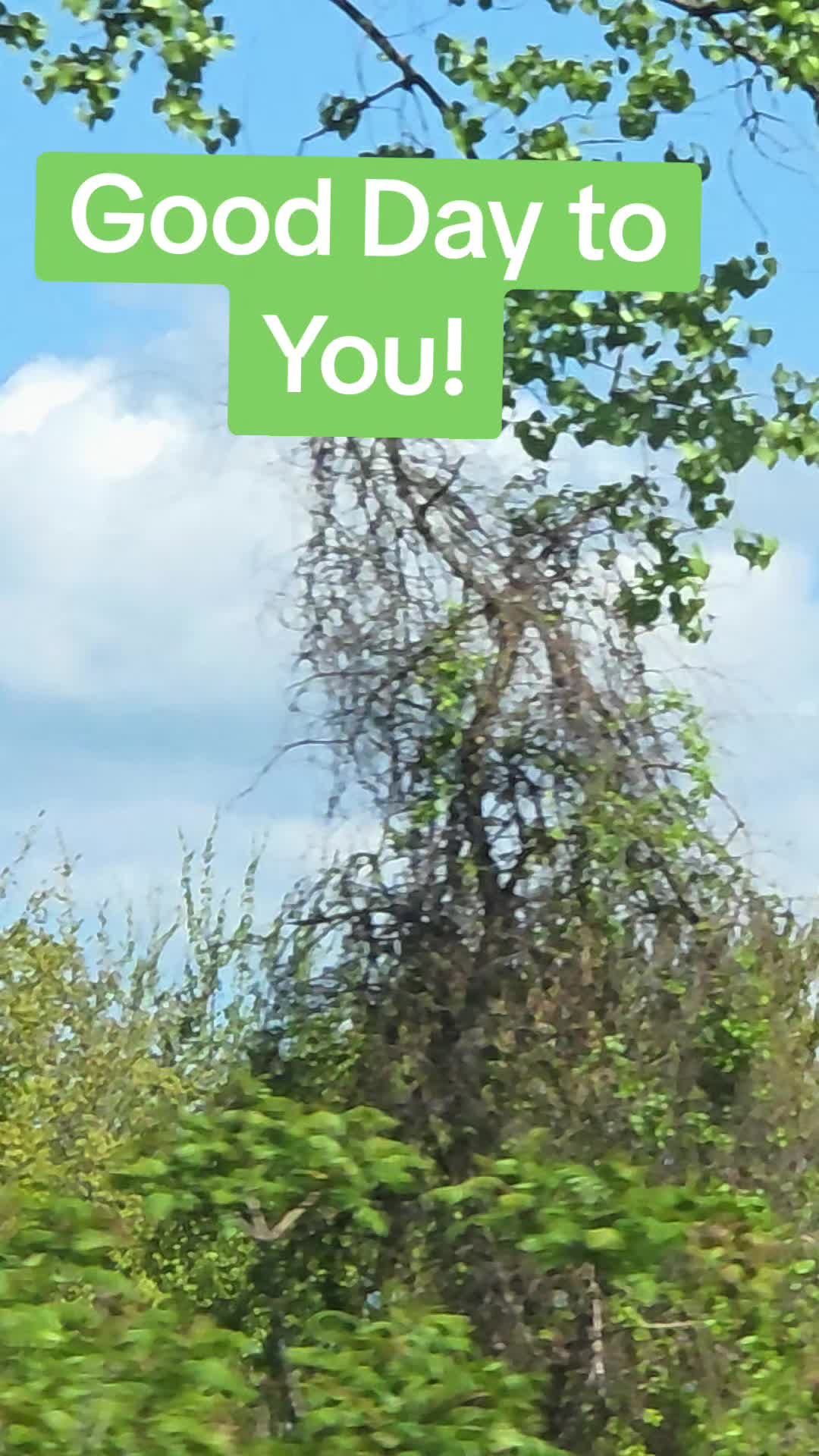@PaulaC