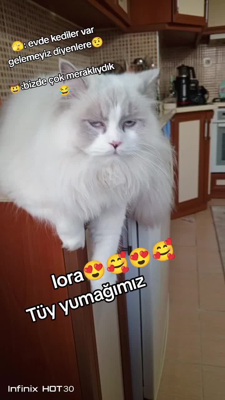 @zuzu20