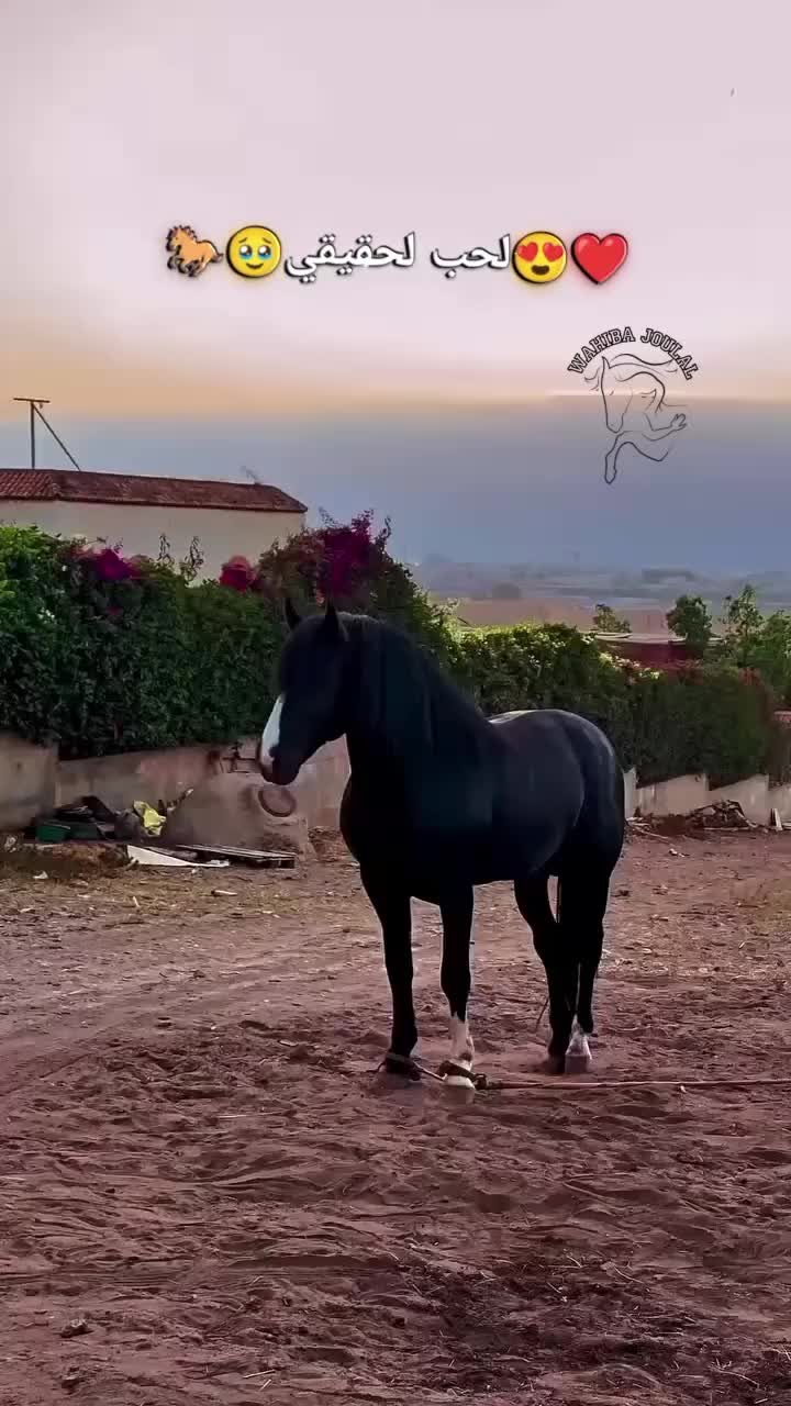 @Amar 13