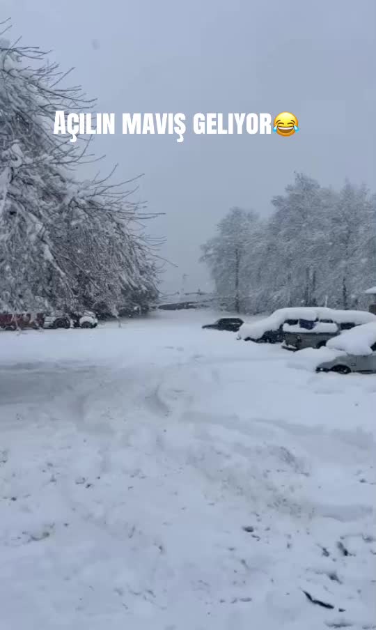 @Aykut Yal&ccedil;ınkaya