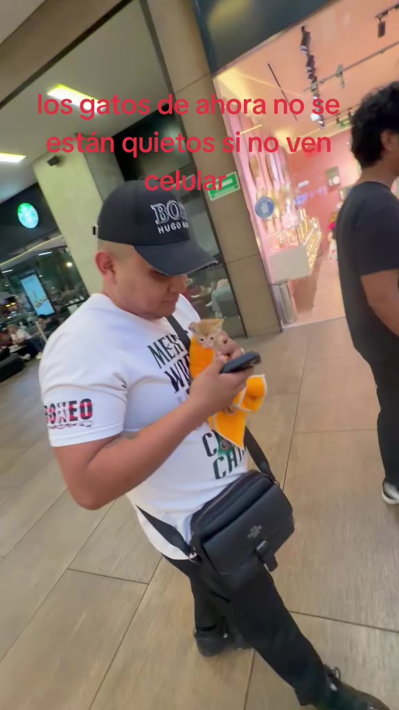 @Choco_trader