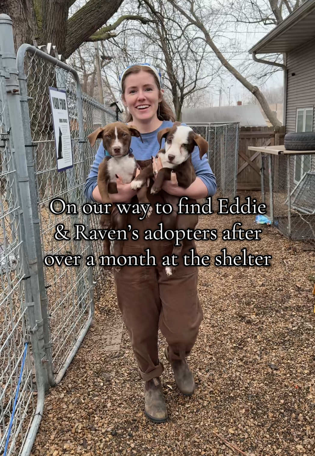 @sftsanimalrescue