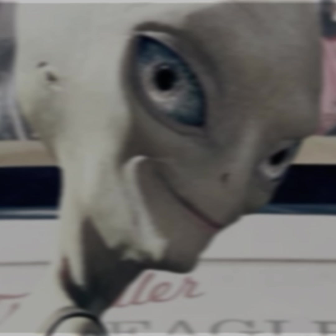 @The ultimate Paul fan