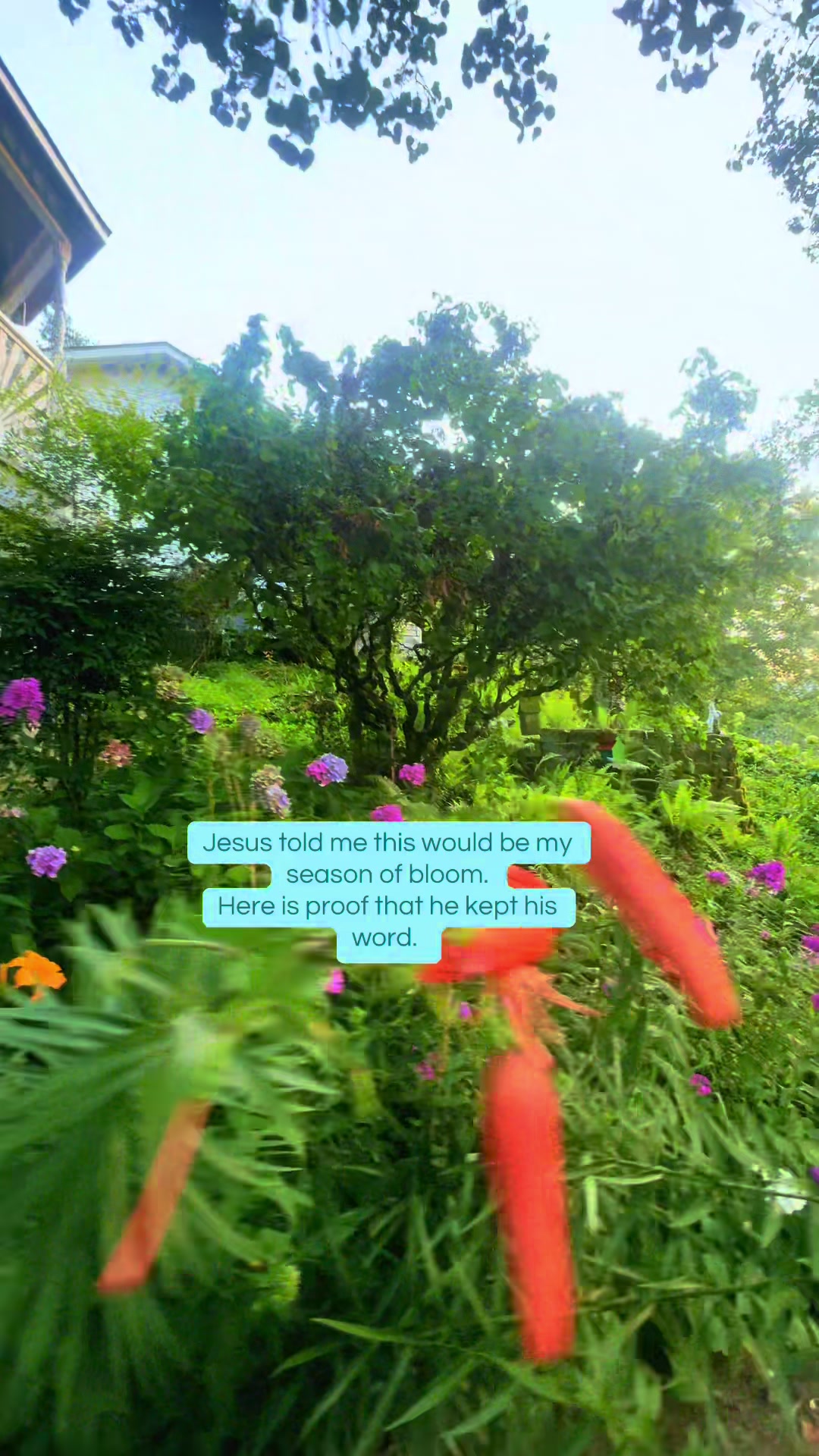 @Nikki Kelley | Southeast TN💫