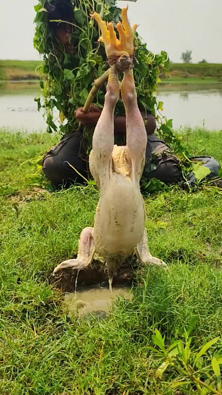 @Fishing